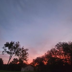 Meet your Posher, Delaney